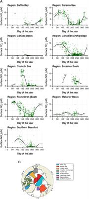 Pan-Arctic Ocean Primary Production Constrained by Turbulent Nitrate Fluxes